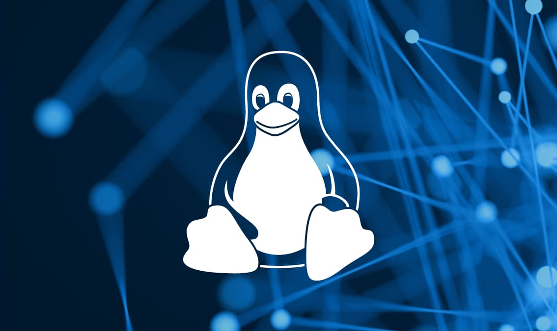Fundamentals of Linux Operating Systems and Virtual Machines